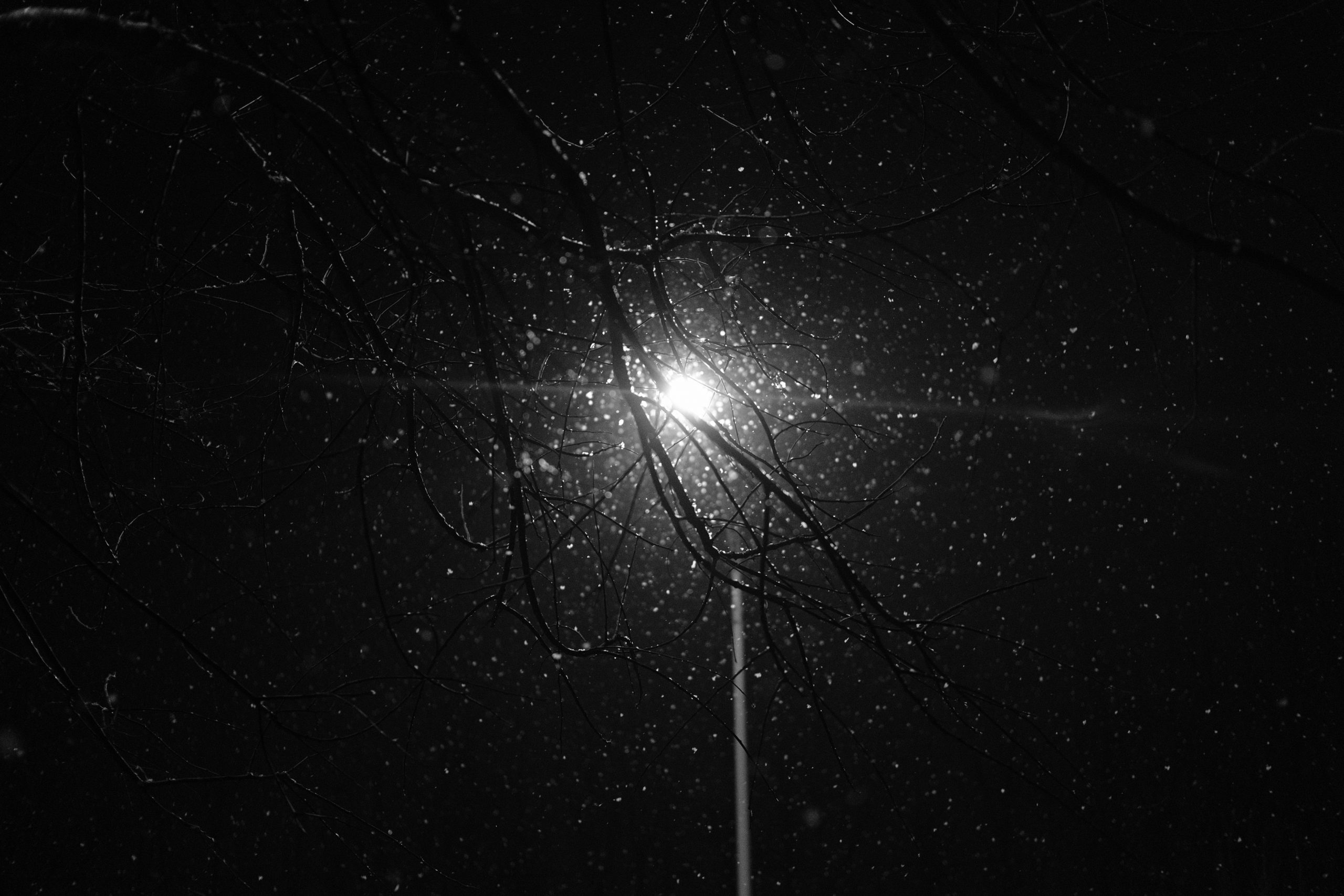 DSCF0403