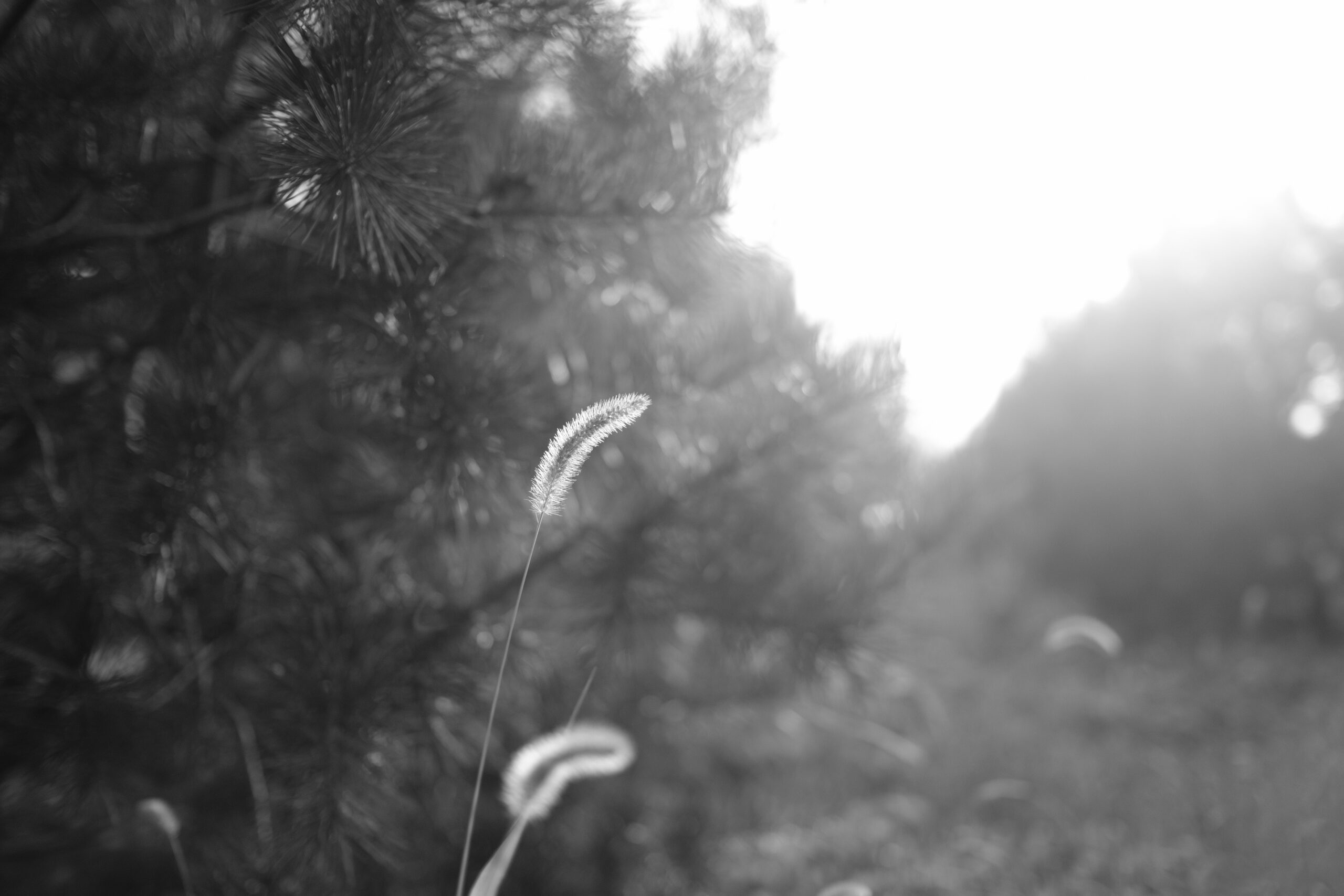 DSCF0840