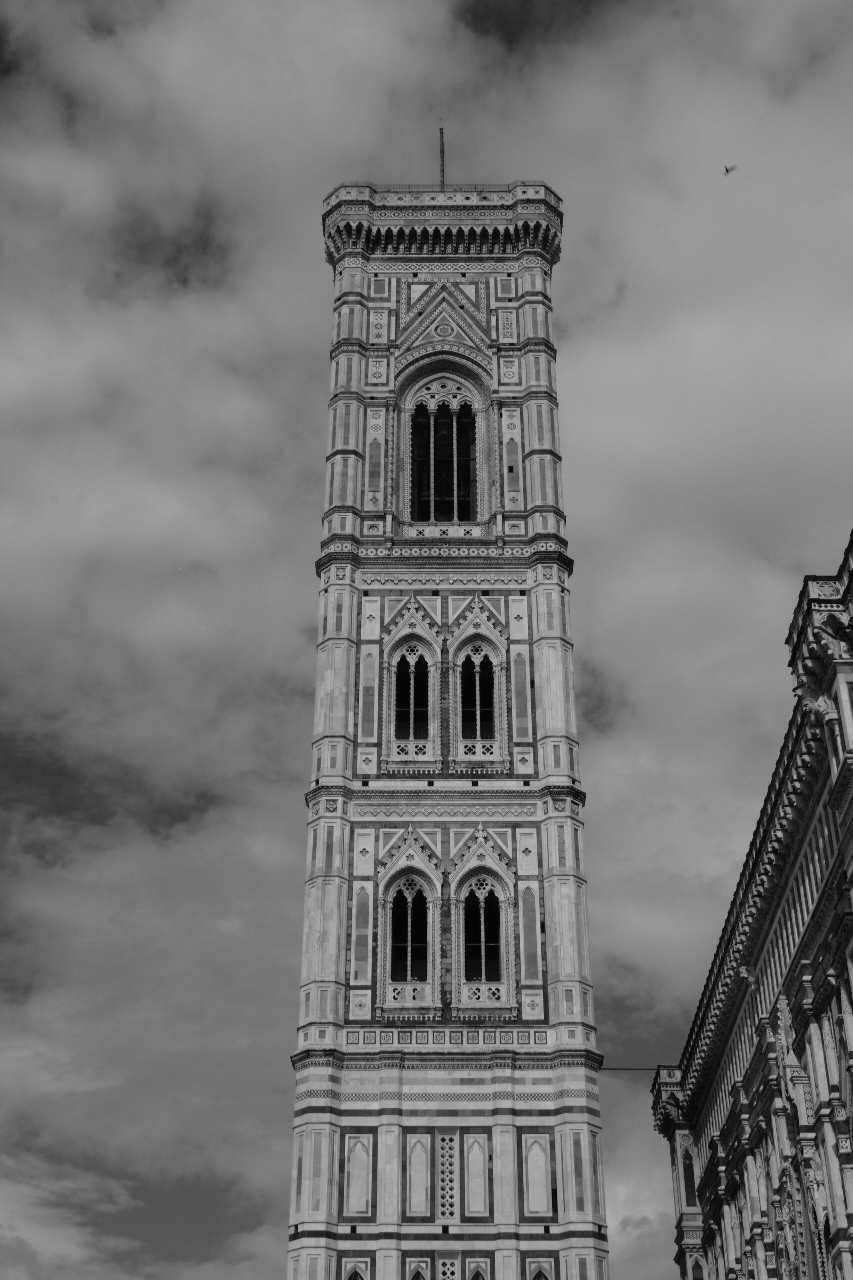 DSCF7729