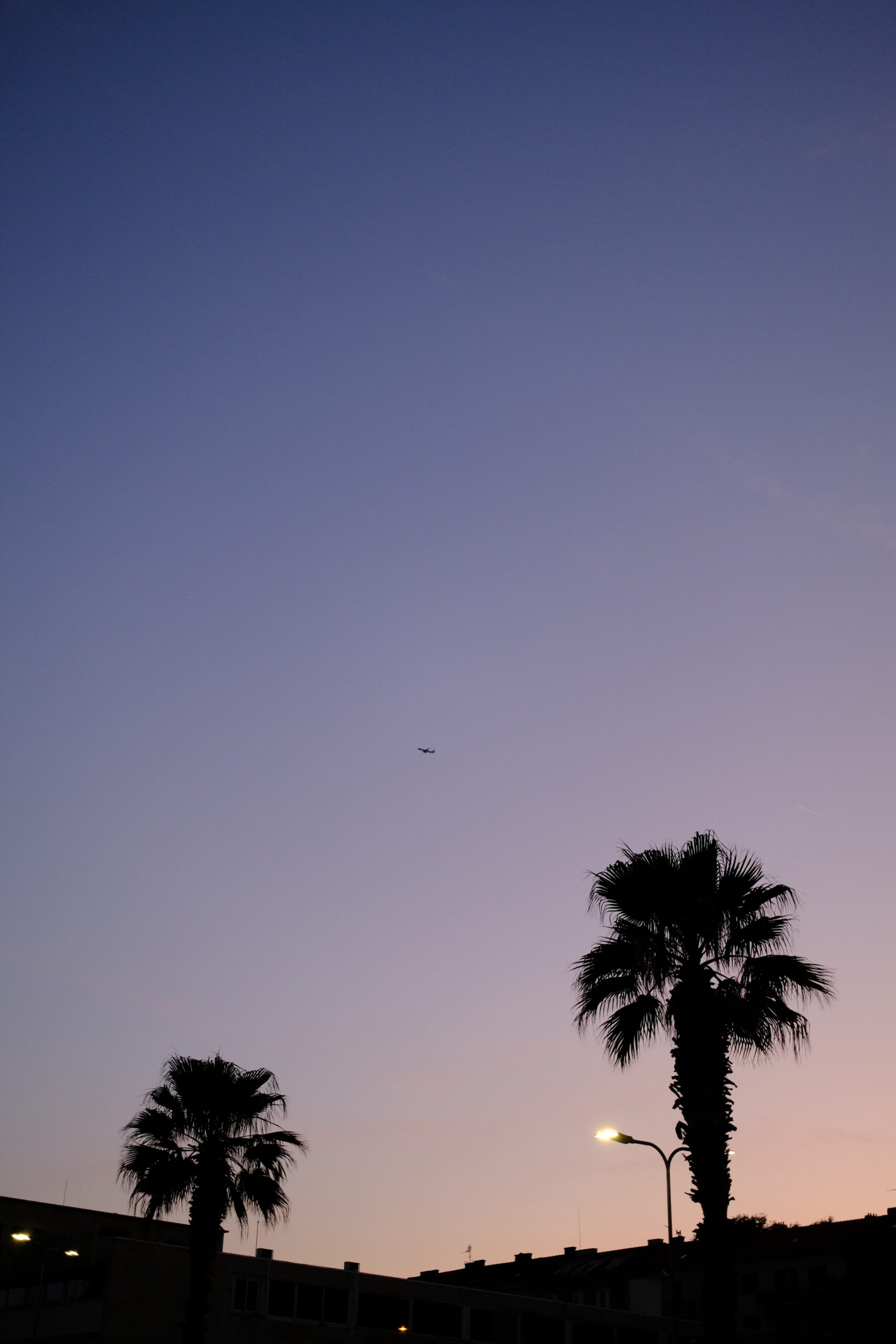 DSCF8295