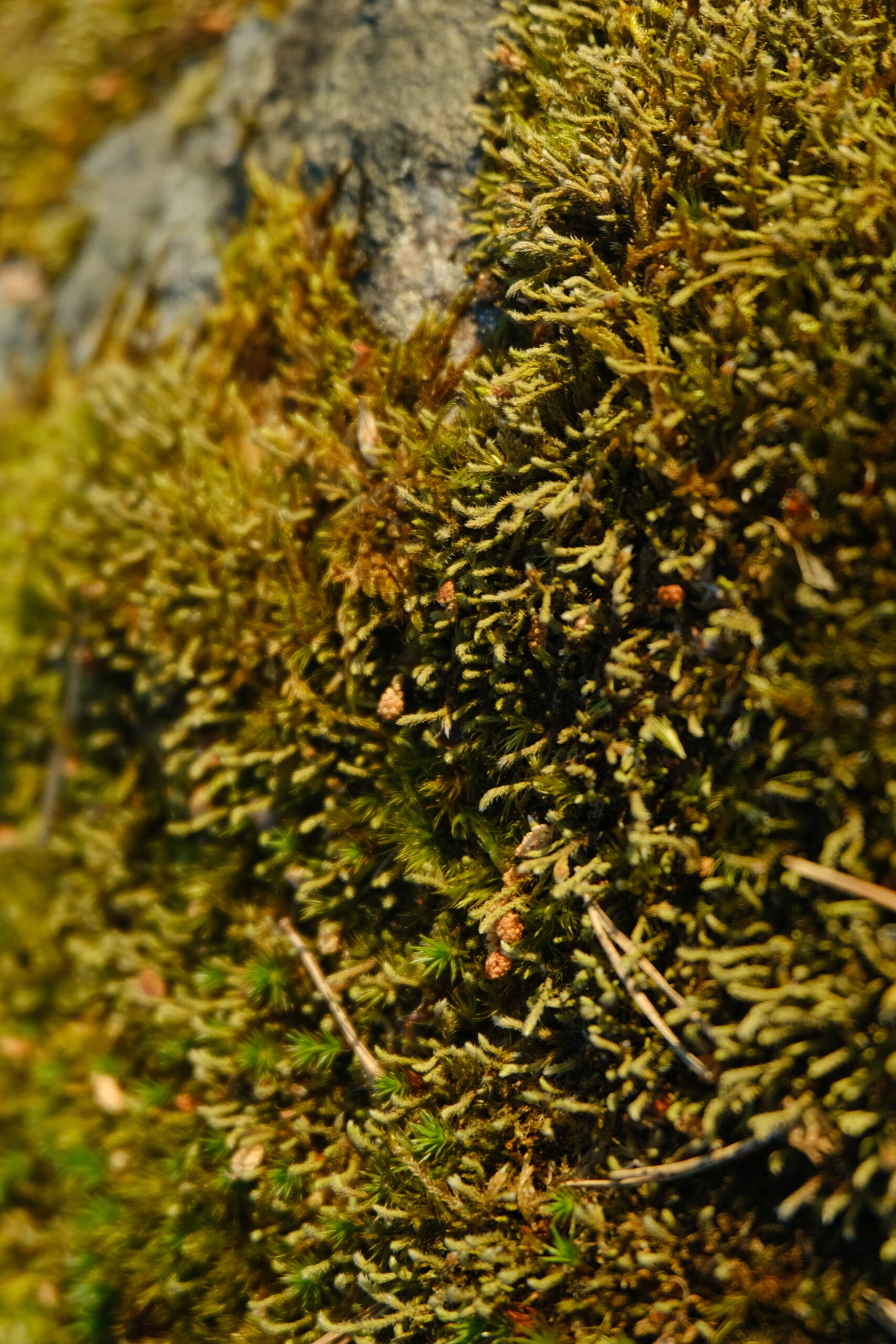 DSCF9160