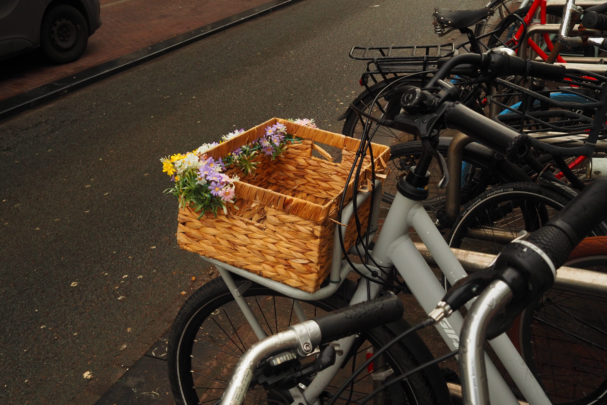 OLYMPUS DIGITAL CAMERA